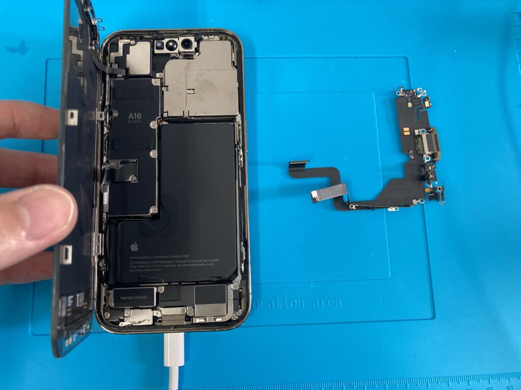 画像に alt 属性が指定されていません。ファイル名: IMG_E0085-1024x768.jpg