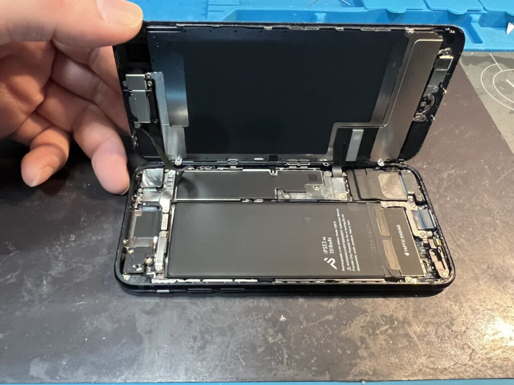 iPhoneSE(第3世代)内部